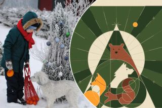 Святкові вистави, прогулянки та концерти: куди піти з дітьми в Києві на новорічні свята 2024