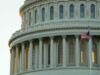 Ілон Маск проти USAID: що відомо про звільнення працівників і можливе закриття організації