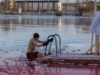 Моржевание под микроскопом: что говорит наука о холодных купаниях