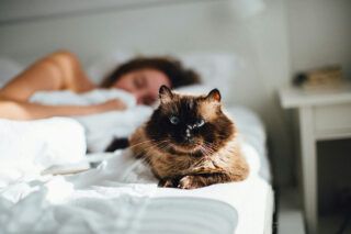 Фото к: Как высыпаться в 20, 30, 40, 50 и 60 лет: советы врачей