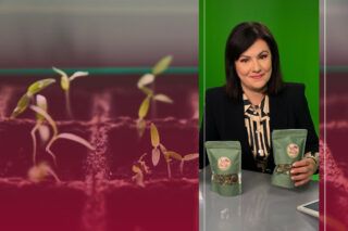 Тетяна Висоцька садівництво