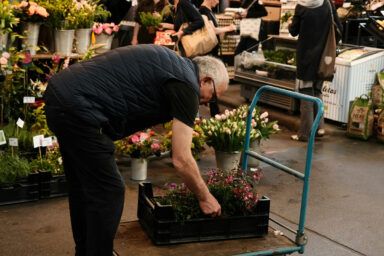 Які квіти можна садити в березні