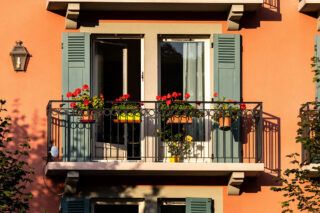 Фото до: Квіти на балконі: що посадити та як обрати рослини для різних сторін