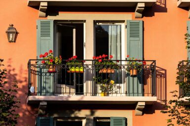 Фото до: Квіти на балконі: що посадити та як обрати рослини для різних сторін