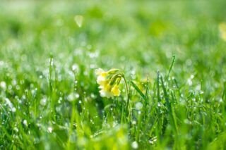 картинки хорошего весеннего дня