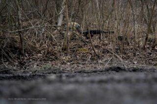 Волчанск