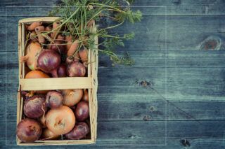 чи можна сьогодні садити цибулю