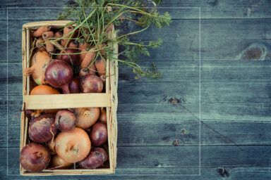 чи можна сьогодні садити цибулю