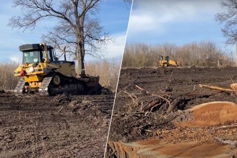 “Благоустройство” на костях: в Черниговской области уничтожили массовое захоронение жертв Голодомора