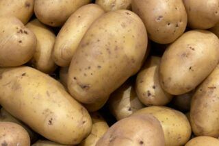 картопля гранада характеристика