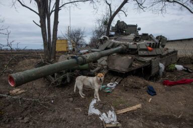 Фото к: Как военные спасают животных на передовой: истории бойцов и волонтеров