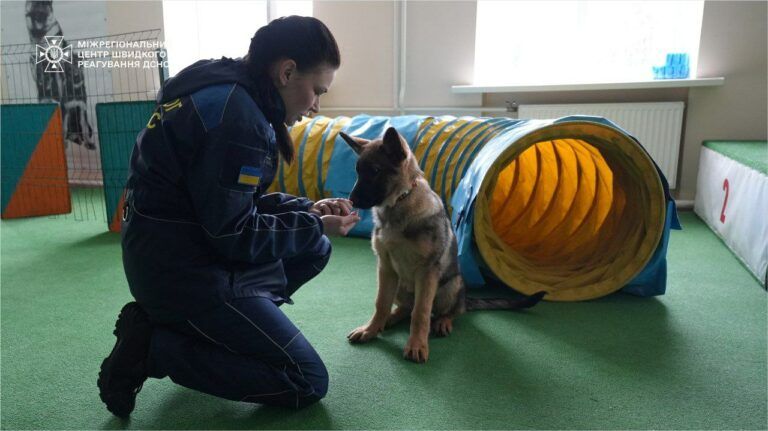 Фото 1 к: Как песики спасают жизнь людей: деятельность кинологов из ГСЧС