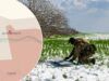 ВСУ освободили Днепроэнергию. Как прошла операция и что известно об уничтоженных россиянах