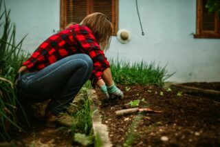 Можно ли сажать в ведущую неделю