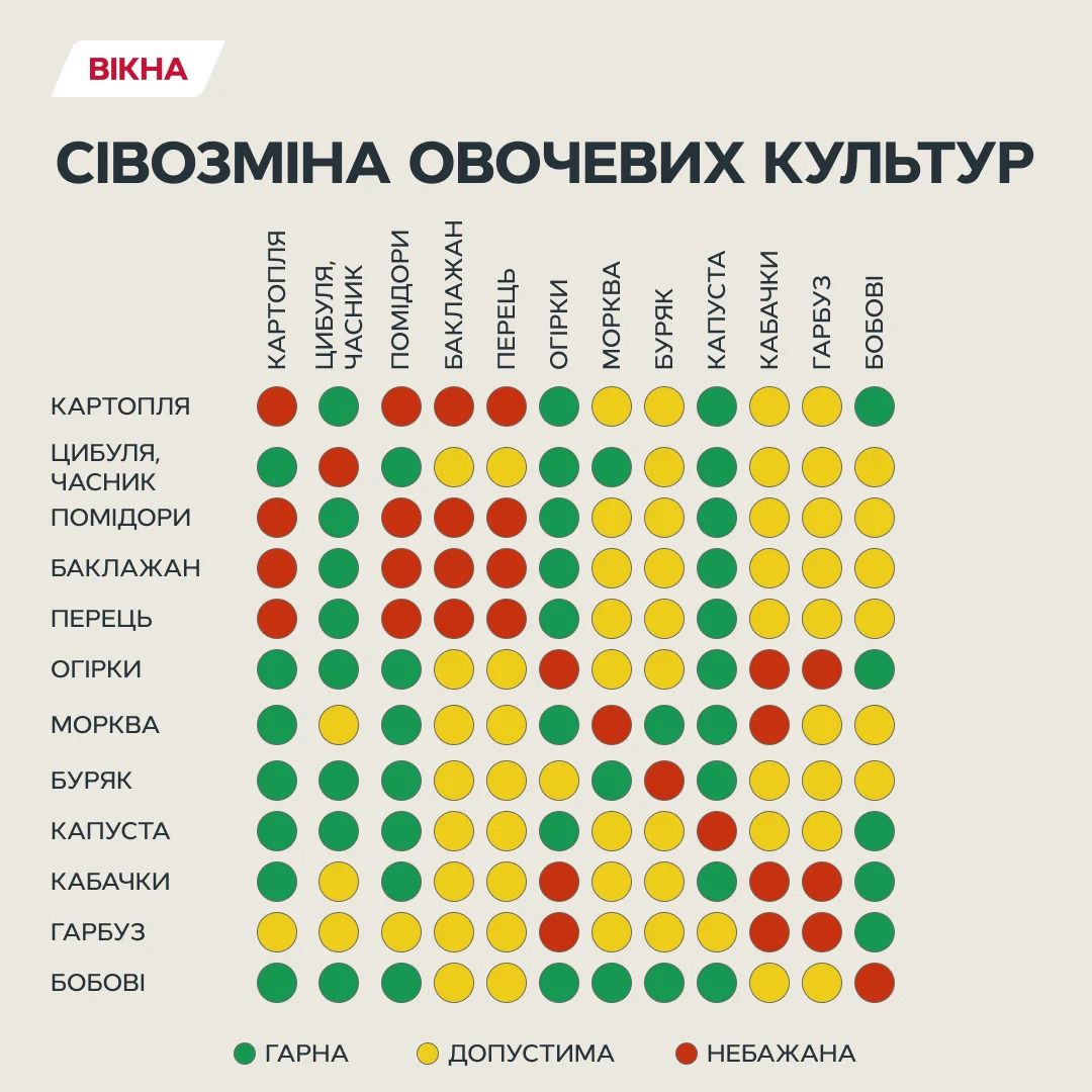 Что после чего сажать на огороде
