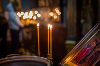 Без хвостатих під ялинку: чому не можна дарувати тварин на Новий рік