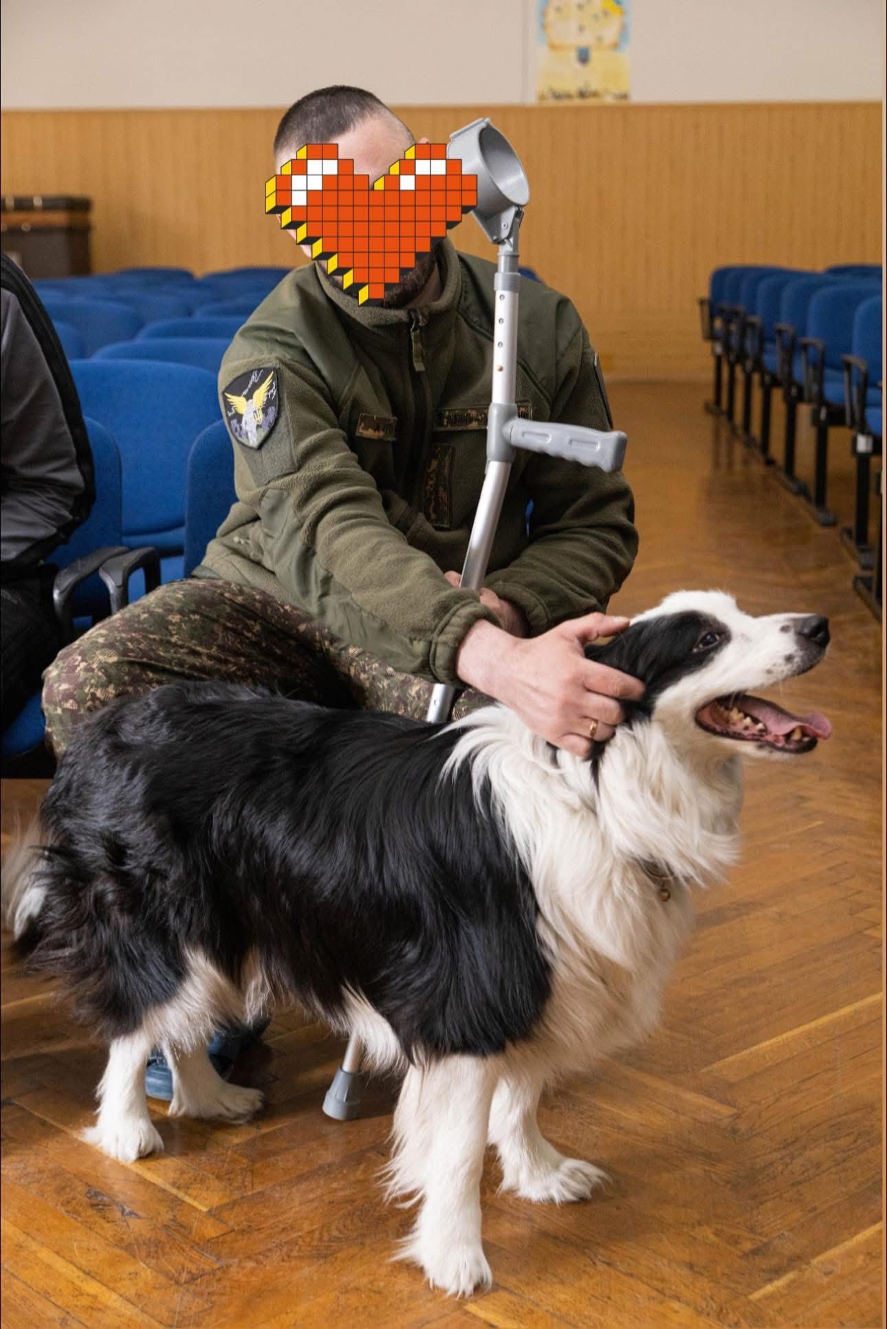 каністерапія