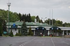 медика шегини