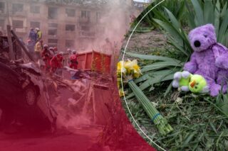 Компаньйон чи реквізит для фото? Як мальтипу та інші породи стали бізнес-продуктом