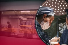 Компаньон или реквизит для фото? Как мальтипу и другие породы стали бизнес-продуктом