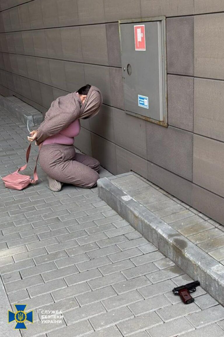 Фото 1 к: Нападение на Сергея Стерненко: нападавшую задержали
