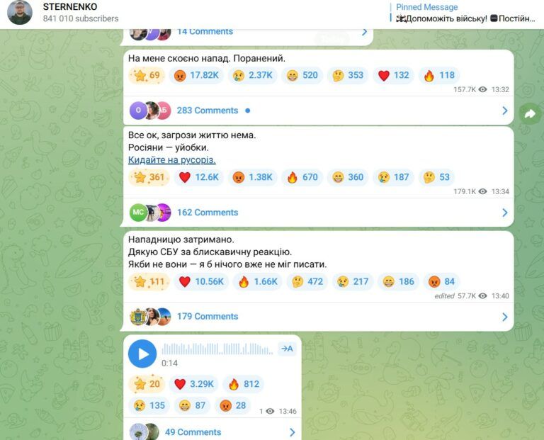 стерненко нападение