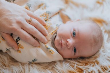 Для бігунів, трудоголіків і алергіків: як вибрати собаку для будь-якого стилю життя