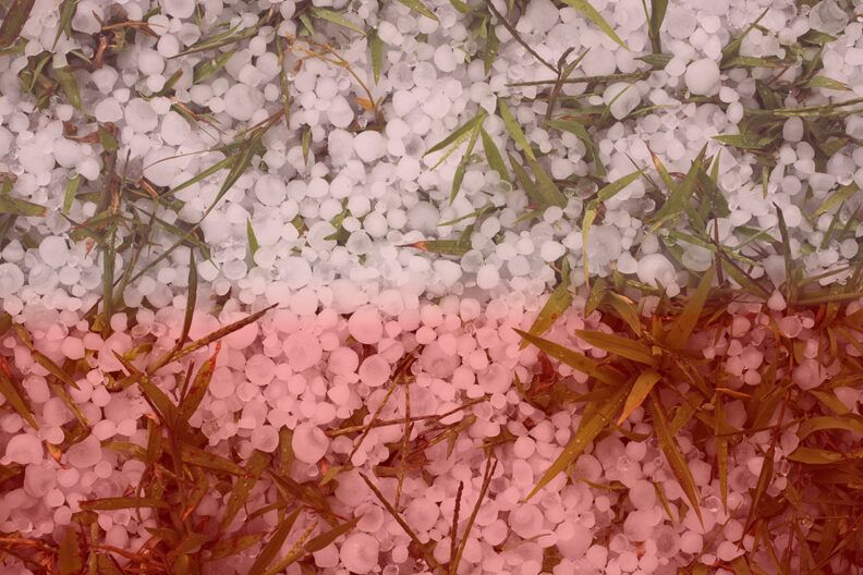 погода на заході та півночі