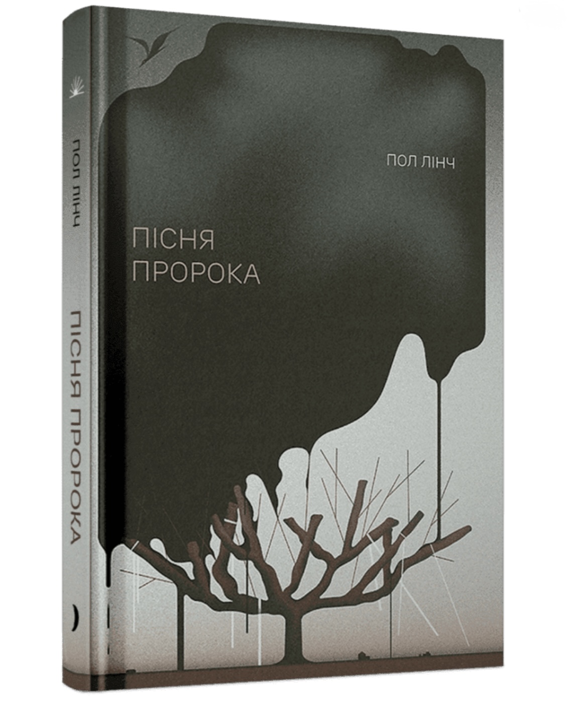 Пісня пророка, Пол Лінч