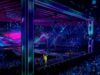 Когда и где смотреть второй полуфинал Евровидения 2025 — не пропусти шоу года