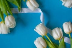 Поздравления с профессиональным праздником в прозе