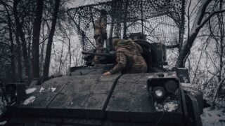 Смак меду змінюється: як бджоли пристосовуються до війни в Україні