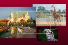 Переговоры с Украиной для РФ — проигрыш: ключевые тезисы интервью Зеленского