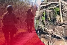 украинские военные