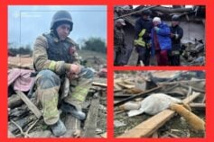 Техосмотр в Польше: как избежать штрафов и не потерять свое авто — новые правила