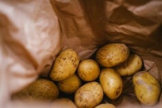 Чим підживити картоплю для великого врожаю
