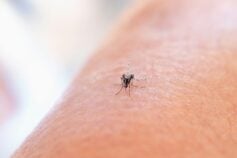 Украина признает результаты обучения детей за рубежом — новый закон