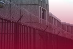Потребує турботи та пересадок: як доглядати за монстерою в домашніх умовах