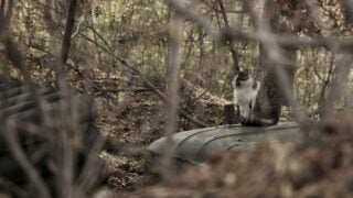 карта боевых действий