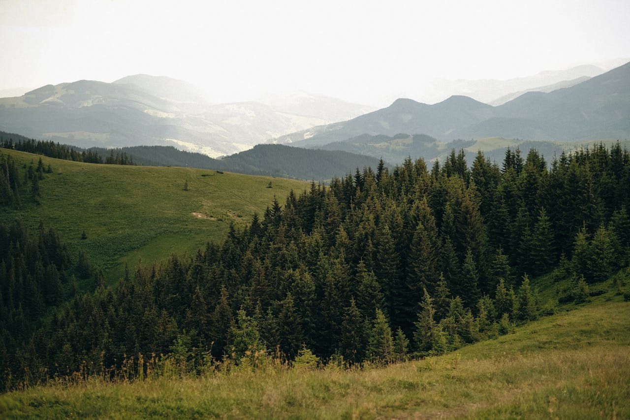 карпати