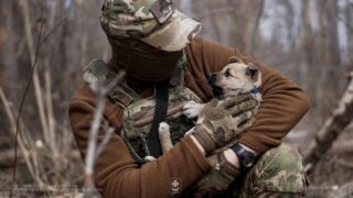 карта боевых действий в украине