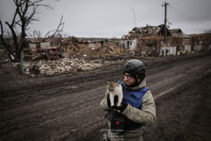 последствия войны для экологии