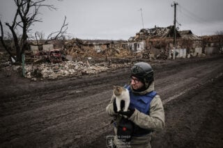 последствия войны для экологии