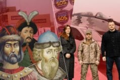 Почему нет выплат ВПЛ: в Министерстве реинтеграции объяснили причины и куда обращаться