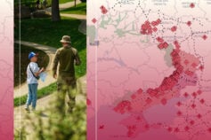 опитування українців