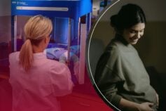 Будут знать нашу историю на нескольких языках: Джамала об обучении сыновей в Украине