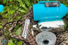ФСБ готувала теракт в Івано-Франківську