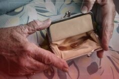 Треба прибирати ім’я Чайковського! Композиторка Алла Загайкевич про перейменування музичної академії та розвиток нашої музики