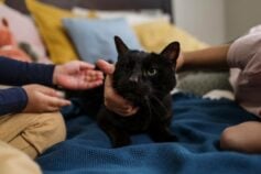 пятница 13 поздравления