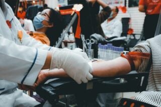 Може стати фатальною! Чи справді спека небезпечна для котів та як допомогти її пережити